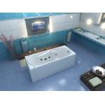 Боковой экран для ванны BAS Ибица 700х530